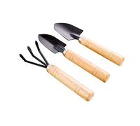 3 pezzi pianta in vaso piccolo set di pala, set da giardino in metallo domestico Fiori kit di giardinaggio succulento per il trapianto di scavo e piantagione