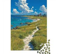 3 Pezzi Romantic Scenery Set Di Biancheria Da Letto Stampa 3d in Microfibra Copripiumino Con Cerniera Coastal Grass Path Per Tutte Le Stagioni Per Bambini,Ragazzi E Ragaz 70x50cm/1000pcs