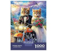 3 Pezzi Winter Night Cats Set Di Biancheria Da Letto Con Stampa 3D Morbida Microfibra Con Chiusura A Strappo Cat on Motorcycle Decorazione Per La Camera Da Letto Per Ragazzi E Ragazze 70x50cm/1000pcs