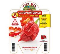 3 PIANTE IN VASO Ø10CM DI PEPERONCINO TRINIDAD SCORPION ROSSO ORTOMIO
