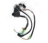3 Pz Accensione Magneto Bobina Per IE45 ET650 Per TIGER Per Il Generatore | Statore Magnete Bobina Lotto per ET950 TG950 650W 800W 1000W 450W 950W 2 tempi Stator Magneto