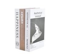 3 Pz Libri Finti da Arredo, Libri Decorativi Magnetici per Casa Moderna, Libro Falso Decorativo Moderni, Libri Falsi Contenitori, Decorazione Libri Finti per Libreria, LIbri Decorativi Simulati (B)