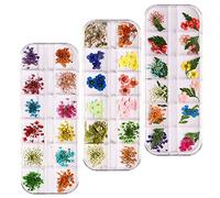 3 Scatole Scatole Nail Art Fiori Secchi, Decorazioni Unghie, Fiori Secchi Per Unghie Nail Art, 36 Tipi Di Fiori Secchi Naturali, Utilizzati Nella Decorazione Di Arte Del Chiodo, Artigianato Fai Da Te