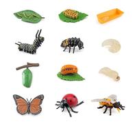 3 Set Da 12 Modelli Del Ciclo Di Vita Degli Insetti Ciascuno, Larve Di Coccinella, Ciclo Di Vita Delle Api, Giocattolo Di Insetti Per Bambini, Modello Di Crescita Degli Insetti