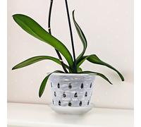 3 Sets Vasetti Per Fiori Vasi Orchidee Vaso Di Trasparente Fioriera Plastica