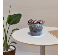 3 Sets Vasi Per Fiori Da Appendere Vasetti Interni Vassoio Vaso Di