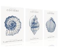 3 stampe artistiche vintage senza cornice, motivo conchiglie blu e beige, decorazione da parete per la casa sulla spiaggia, decorazione per la casa e l'oceano, stampa da parete minimalismo costiero