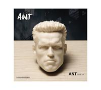 (3) Testa scolpita in scala 1/6 di Brad Pitt, Tom Cruis, Arnold, Paul Walker, Ronaldo, Bruce Willis,