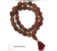 3 TRE MUKHI RUDRAKSHA KANTHA SURYA AGNI SIDDHA MALA 33 +1 RUDRAKSH JAPA PERLE