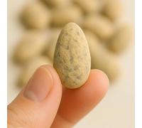 3 x 200 g - Mandorle al Cioccolato e Zenzero - Mandorle Ricoperte - Prodotto a Bari - Confezione da 200g - La Fattoria Della Mandorla