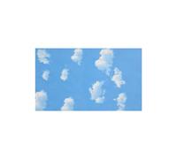 3 X 5 Piedi di Sfondo Blu Cielo Bianco Fotografia Sullo Sfondo Dello Schermo Sfondo Oggetti di Scena