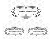 3 x Bobina d'accensione BorgWarner (BERU) per OPEL AGILA A, CORSA C, CORSA D
