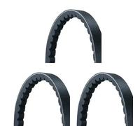 3 x Cinghia trapezoidale CONTINENTAL CTAM per AUDI, BMW, DAIHATSU, FORD, KIA