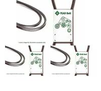 3 x Cinghia trapezoidale INA per CITRON, DACIA, FORD, LANCIA, PEUGEOT, SAAB,
