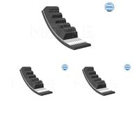 3 x Cinghia trapezoidale MEYLE per IVECO, MERCEDES-BENZ EUROCARGO I-III, O