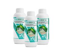 Ossian Permegreen 5.5 Insetticida Concentrato Inodore - Permetrina, Tetrametrina e PBO - Azione Abbattente e Residuale Contro Zanzare, Mosche, Scarafaggi, Blatte, Zecche Interno/Esterno (3 PZ, 1 LT)