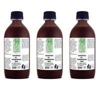 3 x SHAMPOO ROSMARINO Eco-Bio Rinforzante Purificante Capelli NORMALI/GRASSI