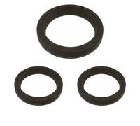 3 x Simering paraolio albero a camme FEBI BILSTEIN per AUDI, SEAT