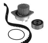 30-0491-1 METELLI Pompa acqua + Kit cinghie dentate per CITROËN,PEUGEOT