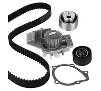 30-0747-3 METELLI Pompa acqua + Kit cinghie dentate per CITROËN,FIAT,PEUGEOT,TOY