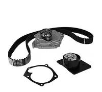 30-1095-1 METELLI Pompa acqua + Kit cinghie dentate per RENAULT,SUZUKI