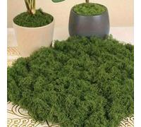 30/50/100/200g Erba artificiale simile ad alghe verdi, micro-erba artificiale per vasi, decorazione di piante da davanzale e design del paesaggio Policloruri di vinile