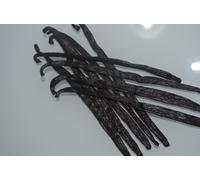 30 Borbone Vaniglia Capsule Madagascar Chicchi Grado A 12cm-14cm