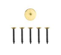 30 chiodi da 20 mm, per appendere immagini senza forare, set di chiodi in acciaio con testa dorata, per pareti in cemento, legno, intonaco e ytong, prodotto in Germania