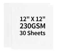 30 fogli di cartoncino bianco - 12'' x 12'' Carta cartoncino pesante da 230 g/85 libbre, perfetta per scrapbooking, artigianato, biglietti da visita UAP05WH030