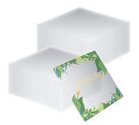 30 Fogli Lastra Acrilica Trasparente in Plexiglass, 10 cm/4 Pollici Quadrato Pannello Lastra in Plastica Acrilici Trasparenti per Display Cornici Pittura, Espositori, Progetti Vetro Acrilico