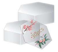 30 Fogli Lastra Acrilica Trasparente in Plexiglass, Esagono Pannello Lastra in Plastica Acrilici Trasparenti per Display Cornici Pittura, Artigianato, Espositori, Progetti Vetro Acrilico