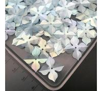 30 g 10 mm 20 mm Windmill Tetrafolium paillettes opache sciolte per cucito, scarpe, cappelli, fai da te per bambini, accessori artigianali all'ingrosso - 20 mm blu opaco B - 30 g