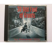 30 Odd Foot of Grunts - The Photograph Kills