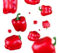 30 + Organic Mini Peperone Rosso Seed ~ Sweet Garden Veg ~ Rare Heirloom Esotico Seeds ONLY