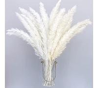 30 Pezzi 40cm Erba Della Pampas Decorative Erba Della Pampas Pianta Finta Pampas Bianche Pampas Decorative Beige Bianche Piccole Pampas Grass Per Vasi, Bouquet Boho Decorazioni (White+Beige)