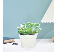 30 pezzi di pentole a scuola pianta per fioriere succulente