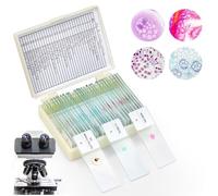30 pezzi microscopio vetrini con campioni biologici, piante insetto umano cellule, microscope Slides per laboratorio e ricerca scientifica