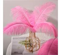 30 Pezzi Piume di Struzzo Decorative, per Abiti, la Decorazione Della Casa e Del Matrimonio, Vasi DIY, Lunghe (Rosa)