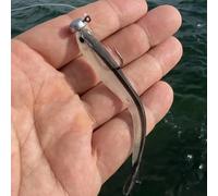 30 pezzi/scatola Esche da pesca morbide oscillanti da 8 cm, 2 g, adatte per la pesca in acqua dolce e salata di persico, ideali per la pesca in mare. Esche da pesca a forma di gamberetto con coda bifo