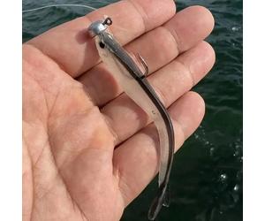 30 pezzi/scatola Esche da pesca morbide oscillanti da 8 cm, 2 g, adatte per la pesca in acqua dolce e salata di persico, ideali per la pesca in mare. Esche da pesca a forma di gamberetto con coda bifo