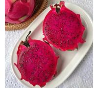 30 pezzi Semi di drago per colonnare resistente, semi di piccolo per donne, contenitori resistenti all'inverno,