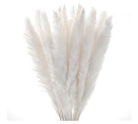 30 Pieces Natural Grass Reed Feather Dried Flowers High Real Touch Tw