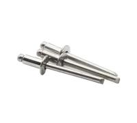 30 pz M3 Apertura a testa tonda piatta Rivetto centrale Rivetti decorativi GB12617 304 tutto in acciaio inossidabile 6mm-16mm Lunghezza(M3x10mm)