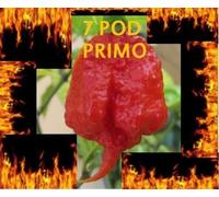 30 Seeds Trinidad 7 Pod (7 Pot) Primo Extremely Rare Hottest Pepper World Record:Seeds : Package Contains seeds