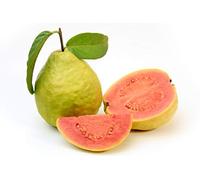 30 Semi di Guava- frutta piante giardino- semi contadini riproducibili - SemiWild