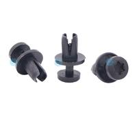 30 X YOU.S Orig. Rivetti Espansivi Vite Per Renault Scenic II (JM0/1_) - 6955.LE