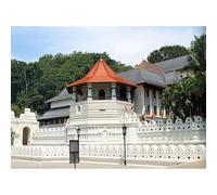 300(38x26cm) pezzi di puzzle, Puzzle di luoghi Santi buddisti a Kandy, Sri Lanka, Memorabilia turistica, Giocattoli e Regali Numero