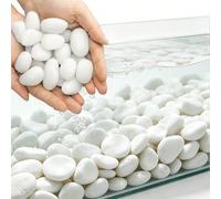 300/600/900g Ciottoli bianchi lucidati ad alta lucentezza, sassi arrotondati e lisci di fiume, pietre da giardino per interni ed esterni, vasi, piante grasse, acquari, decorazione orticola Pietra