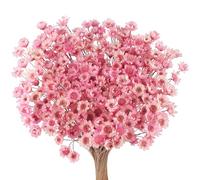 300 fiori secchi brasiliani piccoli fiori secchi decorativi rosa mini margherita essiccati bouquet di camomilla per vacanze decorazione festa fai da te casa matrimonio composizioni floreali secche