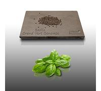 300 graines Aromatiques à semer - Le Grenier d'Abondance - BASILIC Grand Vert Genovese - Ocimum basilicum var. Genovese